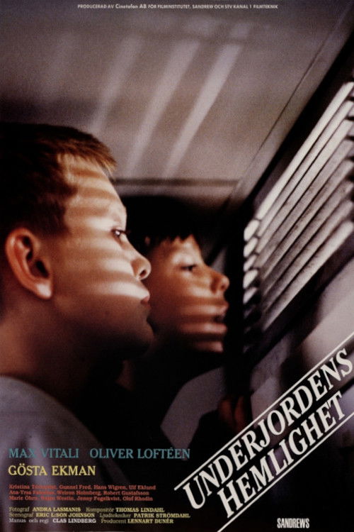 Subterranian Secrets (1991) poster