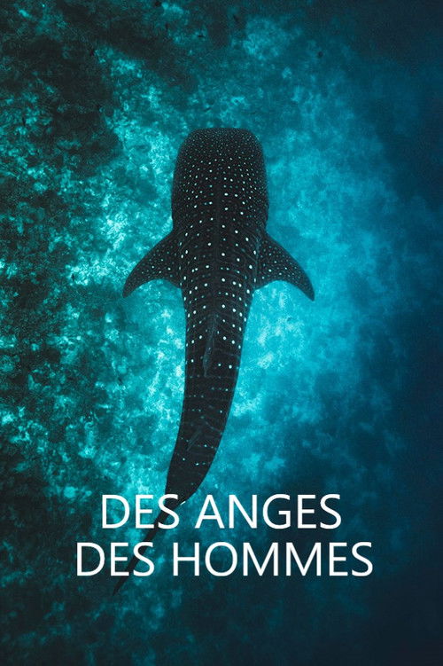 Des anges des hommes (2024) poster