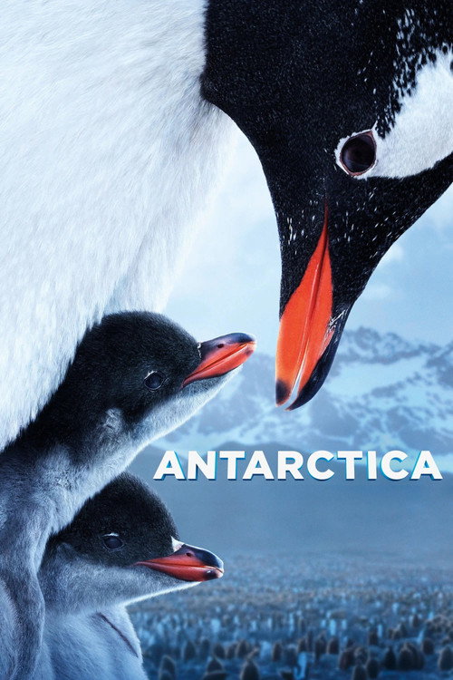 Antarctica (2020) poster