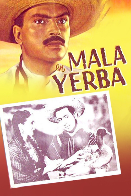 Mala yerba (1940) poster