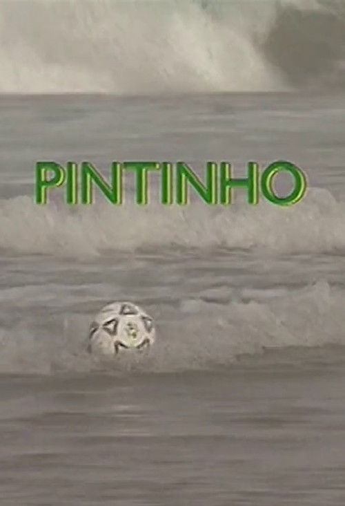 Pintinho (1994) poster