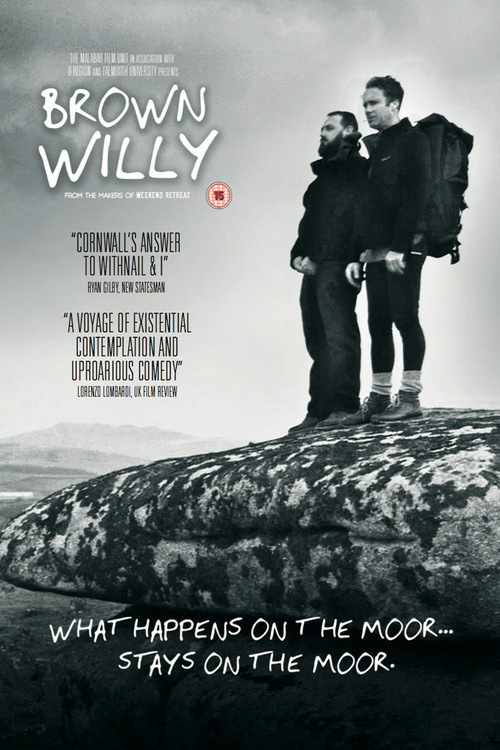 Brown Willy (2016) poster