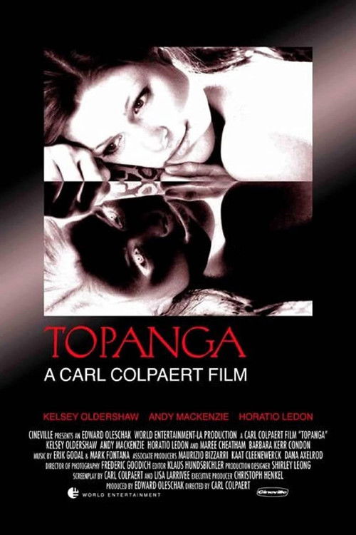 The Affair (2004) poster