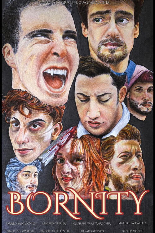 Bornity (2020) poster