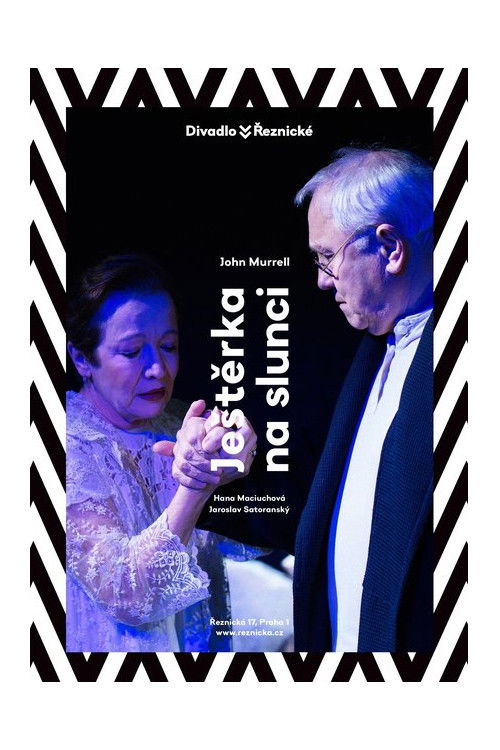 Ještěrka na slunci (2021) poster