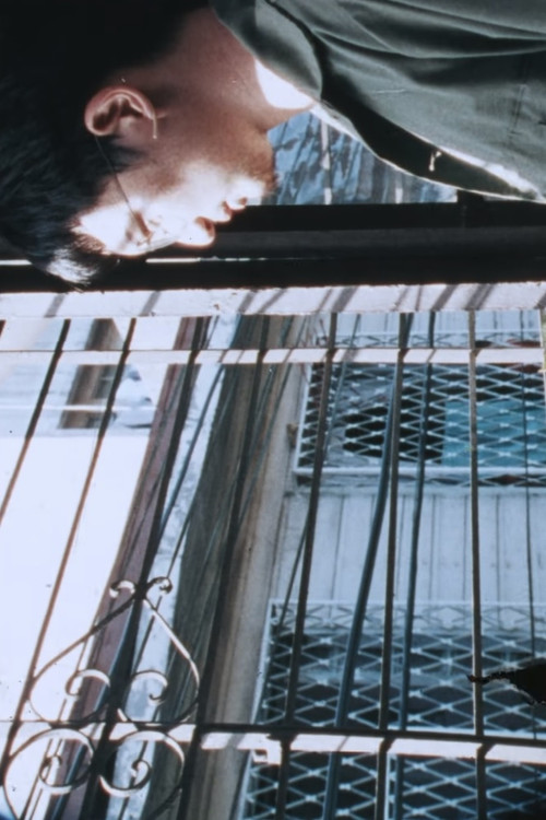 Chicken Soup 2 (1992) poster