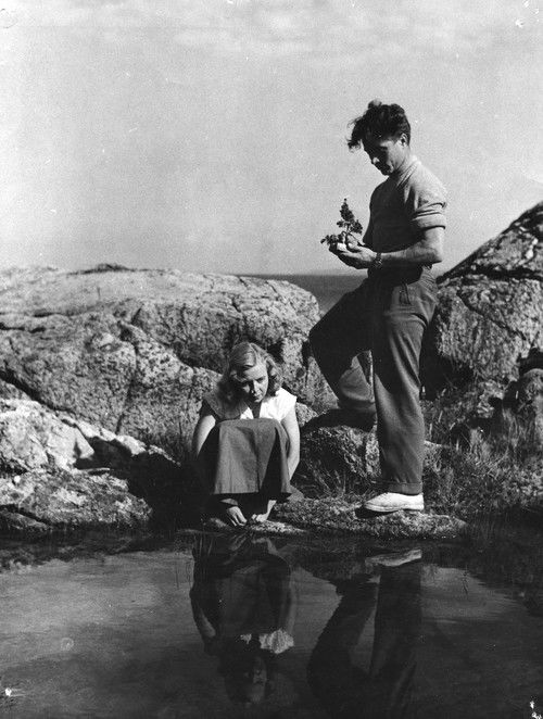 Onnen saari (1955) poster