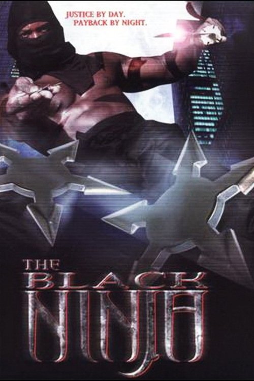The Black Ninja (2003) poster