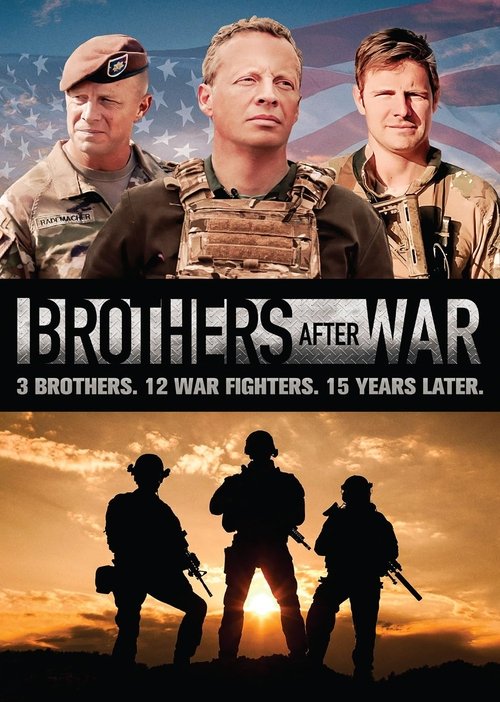 Brothers After War (2025) poster