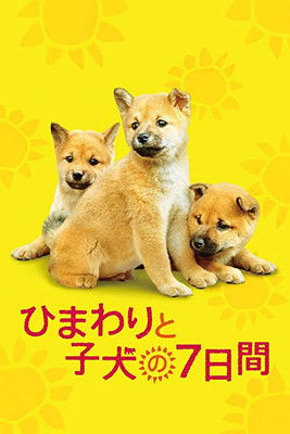 ひまわりと子犬の7日間 (2013) poster