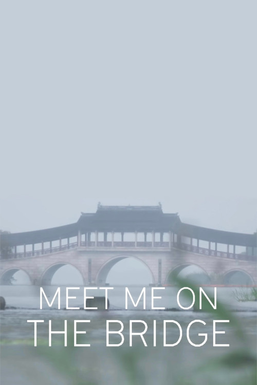 Meet Me On The Bridge (2017) poster