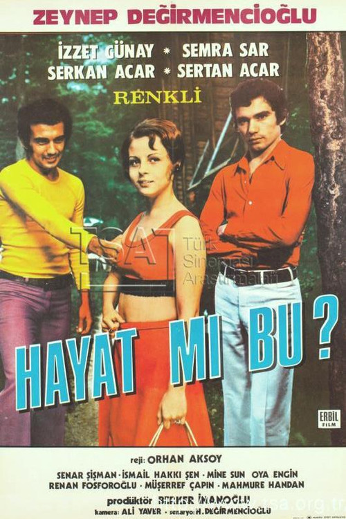Hayat Mı Bu (1973) poster