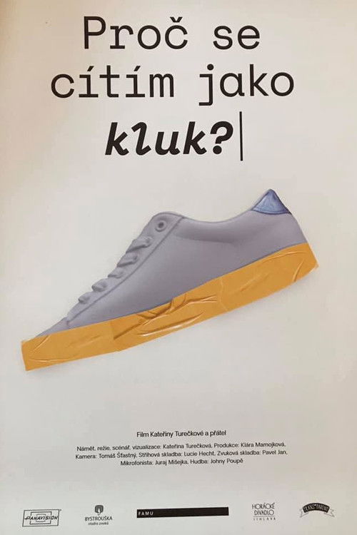 Why Do I Feel like a Boy? (2019) poster