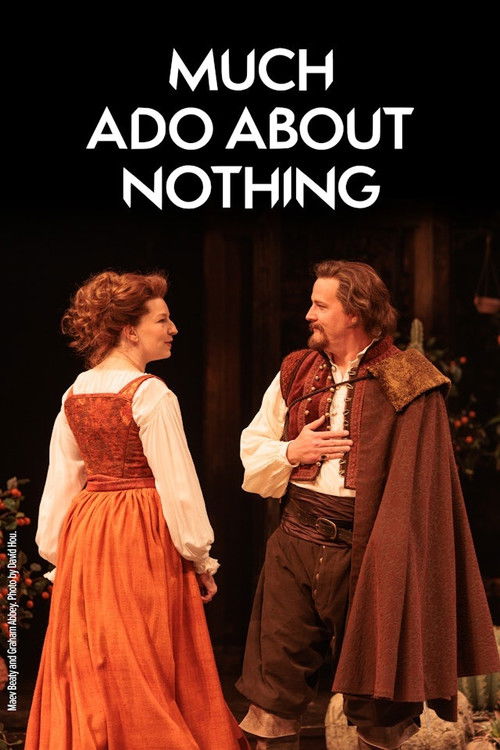 Much Ado About Nothing (2024) poster