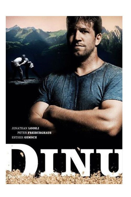 Dinu - der Schwerkraft entgegen (2013) poster