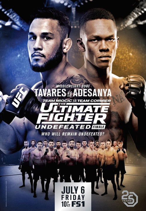 The Ultimate Fighter 27 Finale (2018) poster