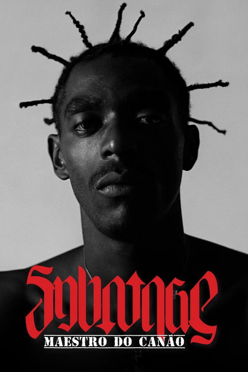 Sabotage: Maestro do Canão (2015) poster