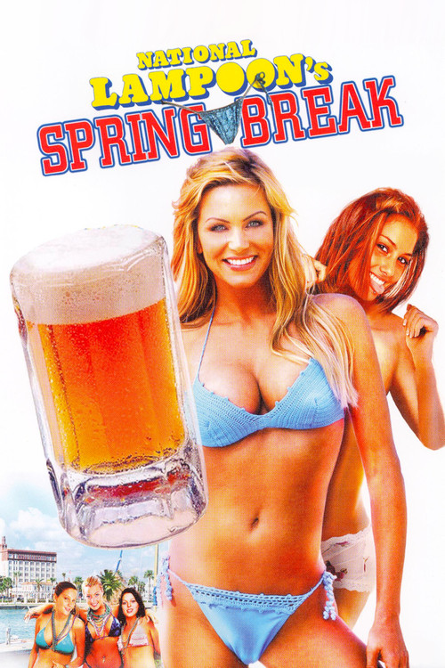 Spring Break 24/7 (2007) poster