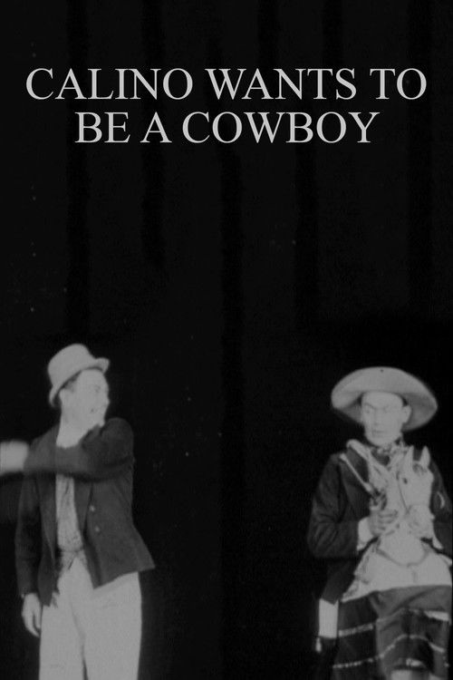 Calino Wants to Be a Cowboy (1911) poster