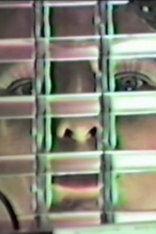 Random Frequencies #1 (1982) poster