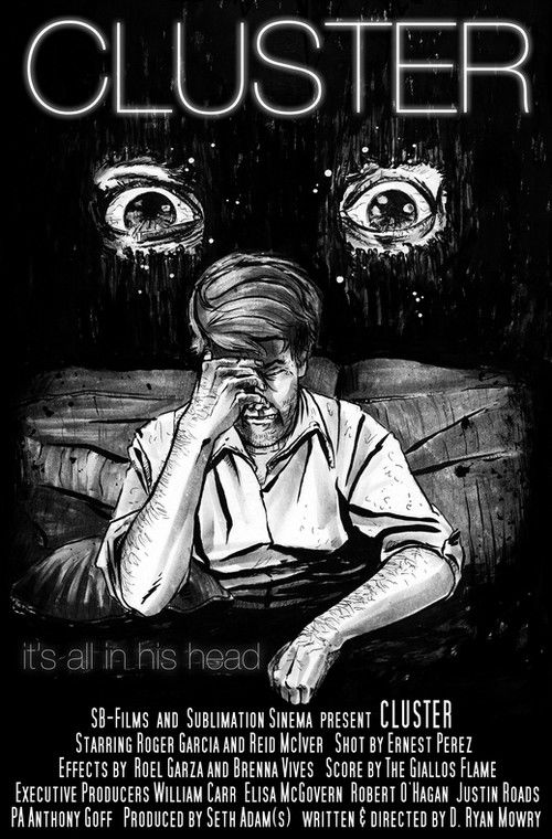 CLUSTER (2013) poster