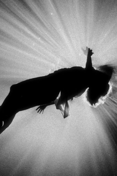 remnants (2025) poster