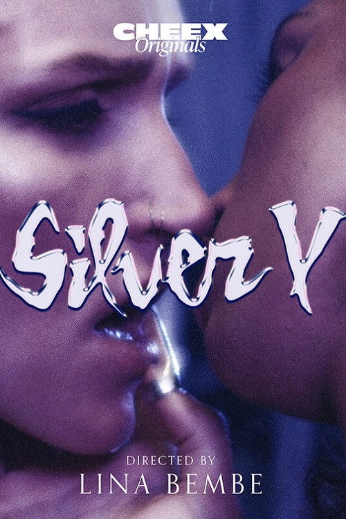 Silver V (2024) poster
