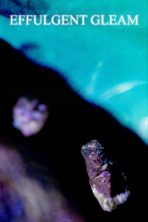 Effulgent Gleam (2022) poster