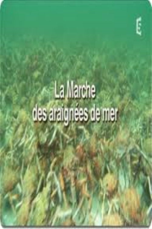 La marche des araignées de mer (2017) poster