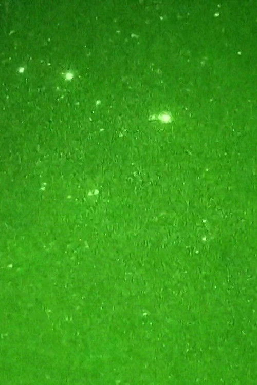 Viewfinder material (2017) poster