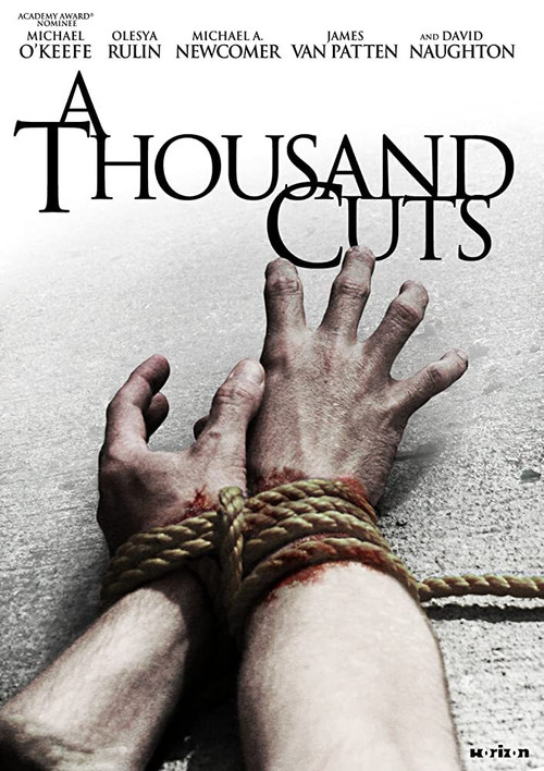 A Thousand Cuts (2012) poster