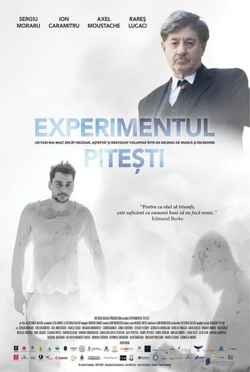 Experimentul Pitești (2022) poster