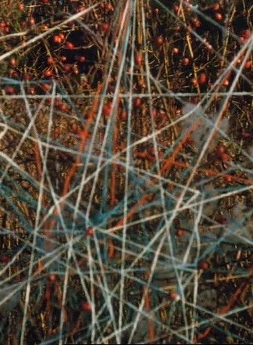 Toying with Strings (1999) poster