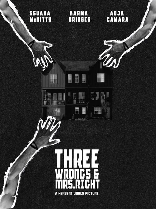 Three Wrongs & Mrs. Right (2024) poster