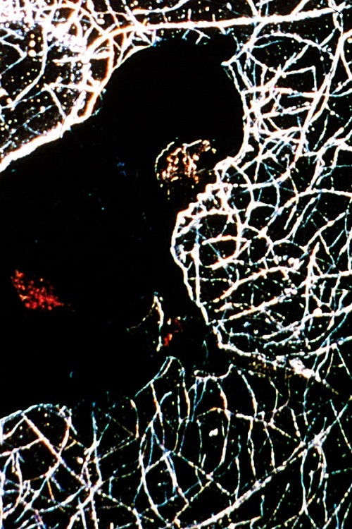 The Snowman (1995) poster