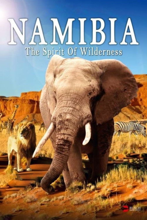Namibia: The Spirit of Wilderness (2016) poster