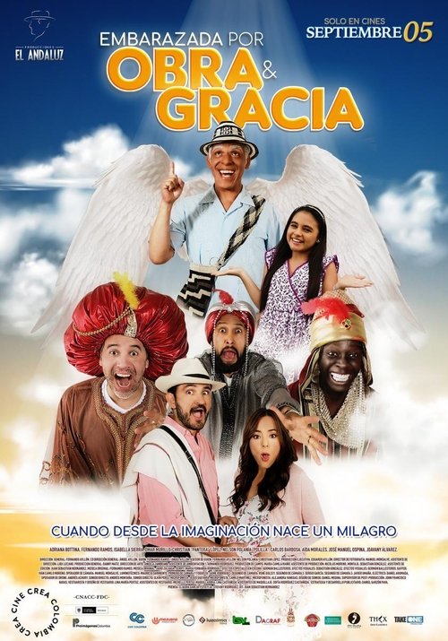 Embarazada por obra y gracia (2019) poster