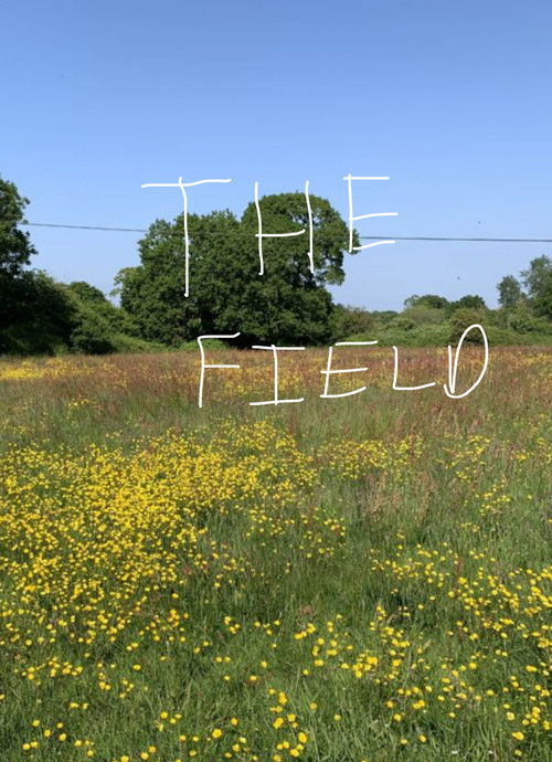 The Field (2013) poster