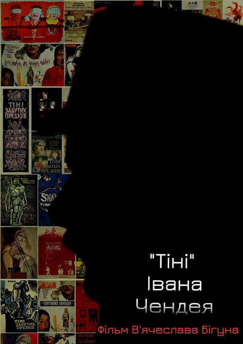 Chendej's Shadows (2020) poster