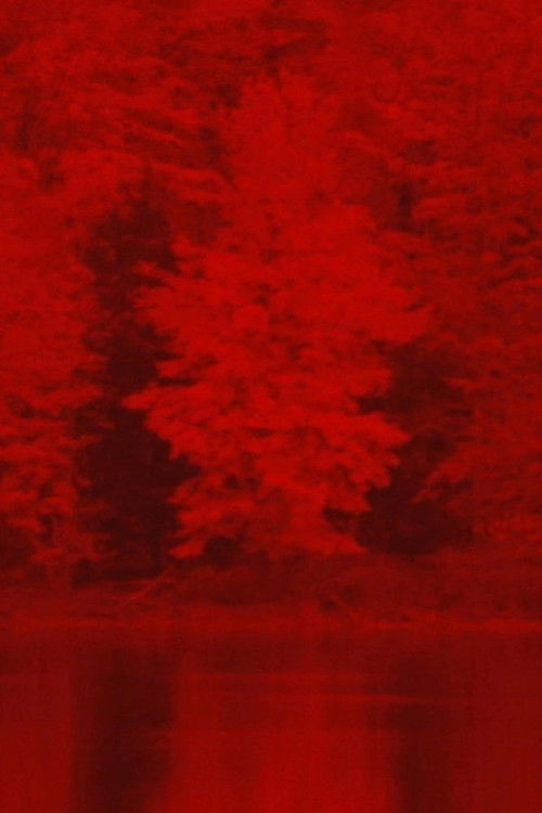 Ride Like Lightning, Crash Like Thunder (2017) poster