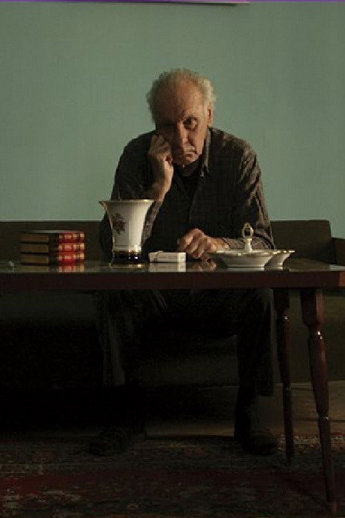 Liberation in 26 Pictures (2009) poster