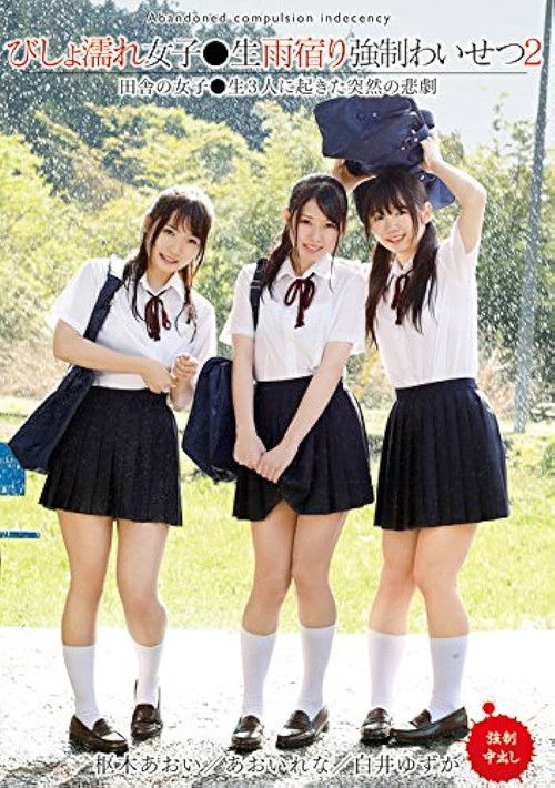 T28-537 Dripping Wet Girls Are Taking Shelter From The Rain And Receiving Sexual Harassment 2 (2018) poster