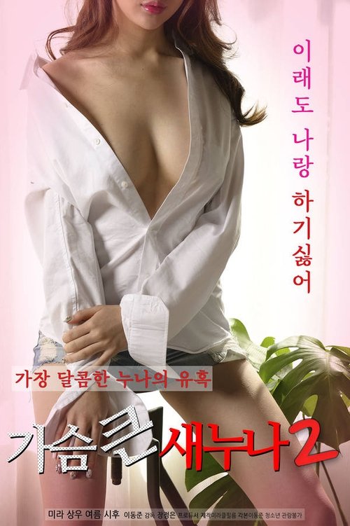 Big Breasts Sister 2 (2020) poster