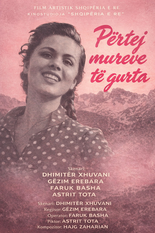Përtej mureve të gurta (1979) poster