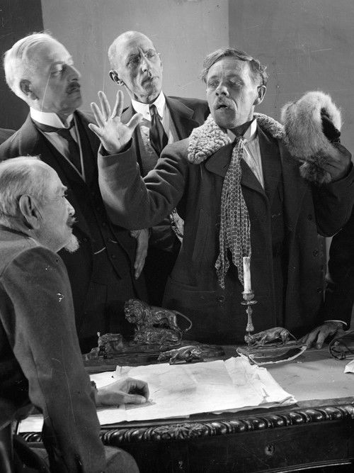 პირველი კორნეტი სტრეშნიოვი (1928) poster