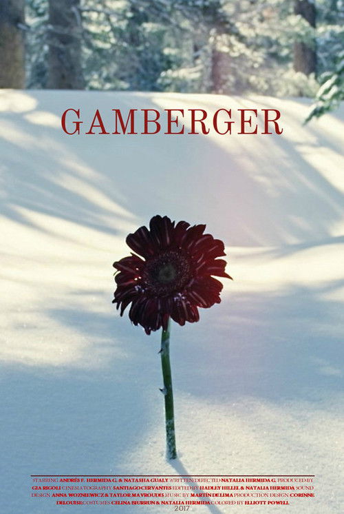 Gamberger (2017) poster