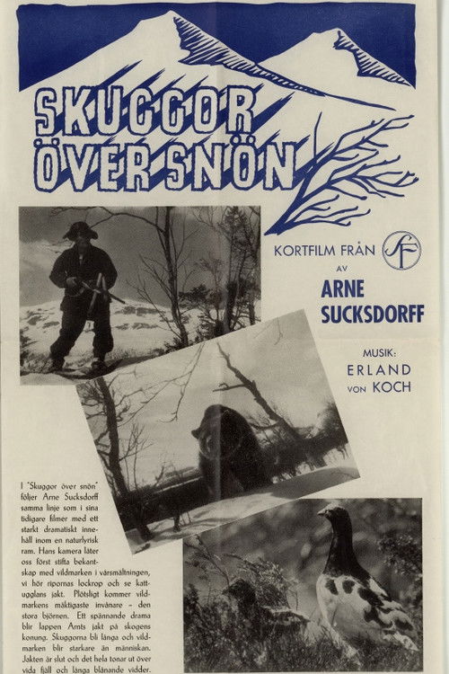 Shadows on the Snow (1946) poster