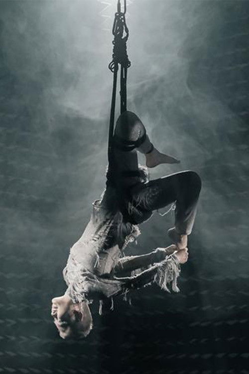 The Magnificent Levitation Act of Lauren O (2022) poster