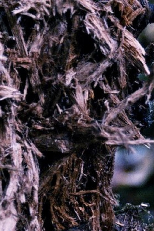 La main du rêve (2013) poster