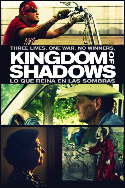Kingdom of Shadows (2015) poster